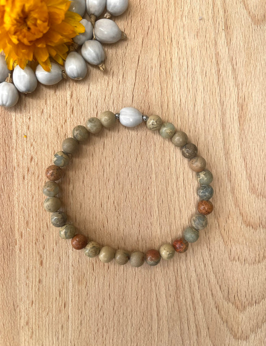 ๐ฑ๐๐๐๐๐๐๐ ๐น๐๐๐๐ ๐ธ๐๐๐๐๐๐๐