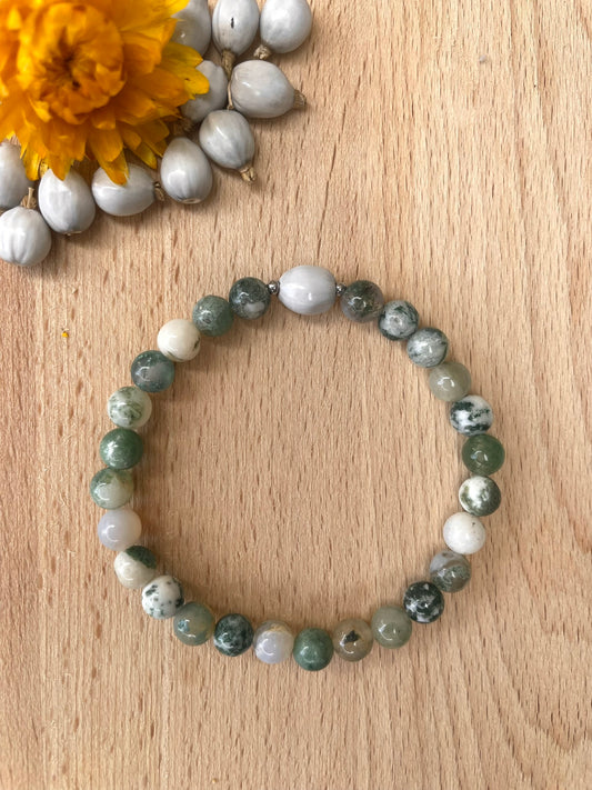 ๐ฑ๐๐๐๐๐๐๐ ๐ฐ๐๐๐๐ ๐ฐ๐๐๐๐