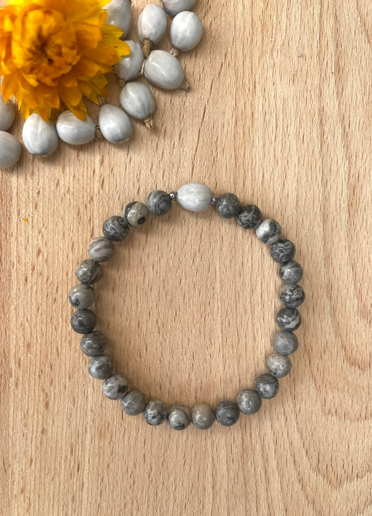 ๐ฑ๐๐๐๐๐๐๐ ๐น๐๐๐๐ ๐ฟ๐๐๐๐๐๐