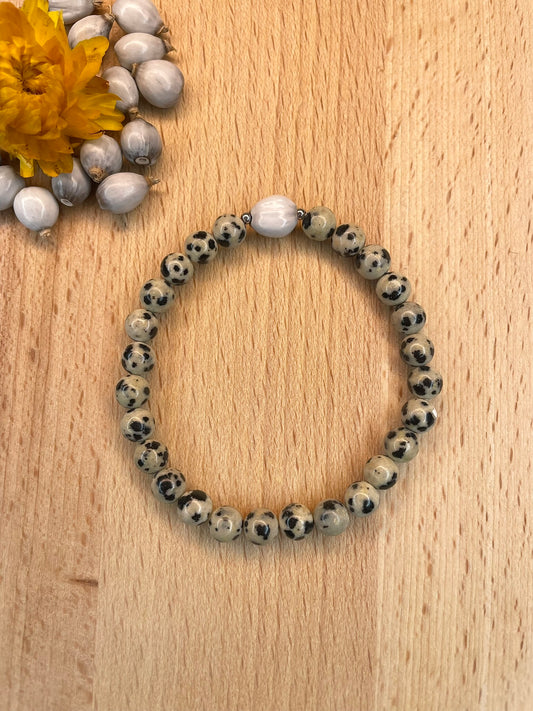 ๐ฑ๐๐๐๐๐๐๐ ๐น๐๐๐๐ ๐ณ๐๐๐๐๐๐๐๐