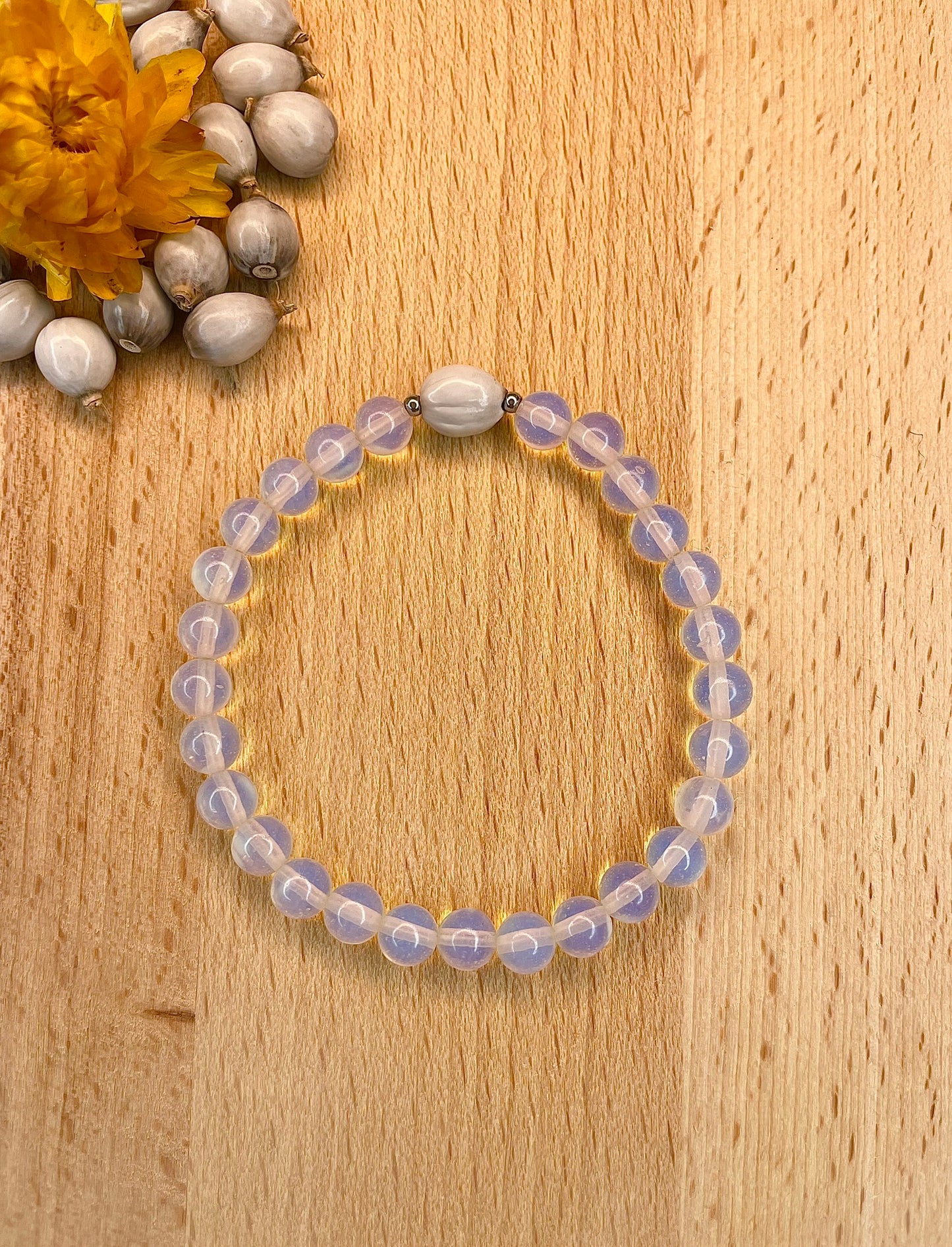 ๐ฑ๐๐๐๐๐๐๐ ๐พ๐๐๐๐๐๐